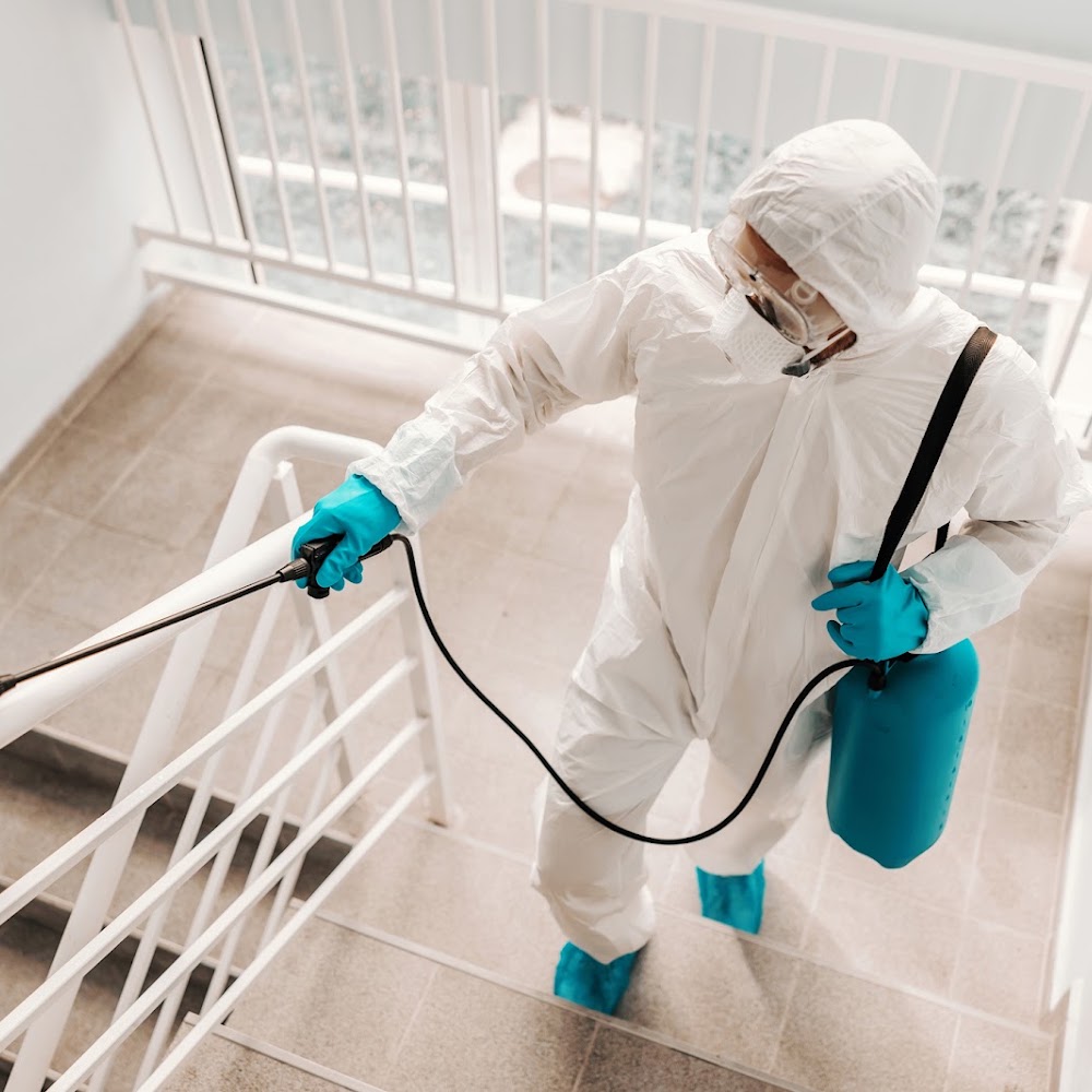 Cleaning Express