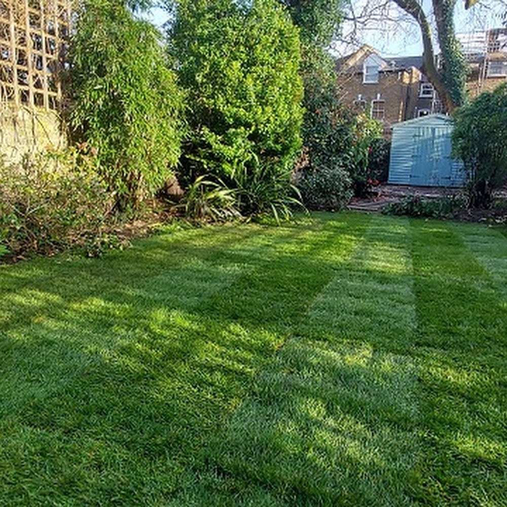 Master Landscapers Ltd