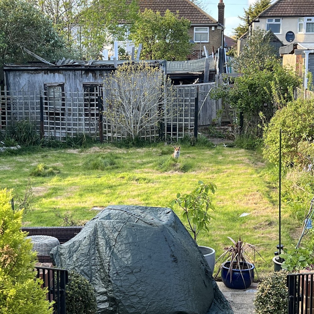 All Garden Landscapes