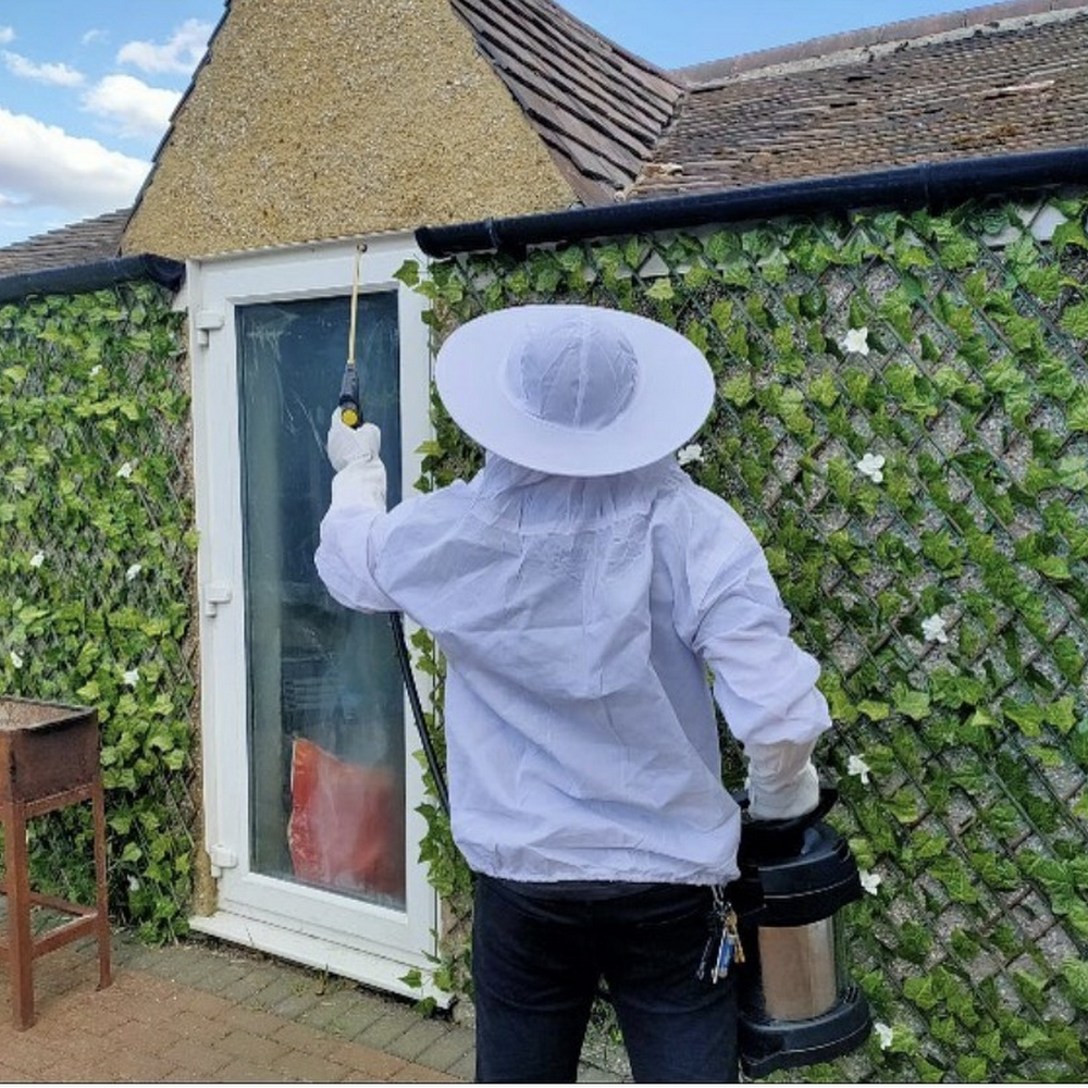 Saxon Pest Management