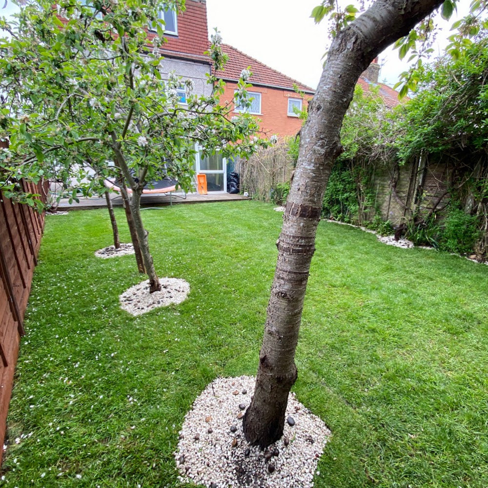 Bella Landscape Construction Ltd