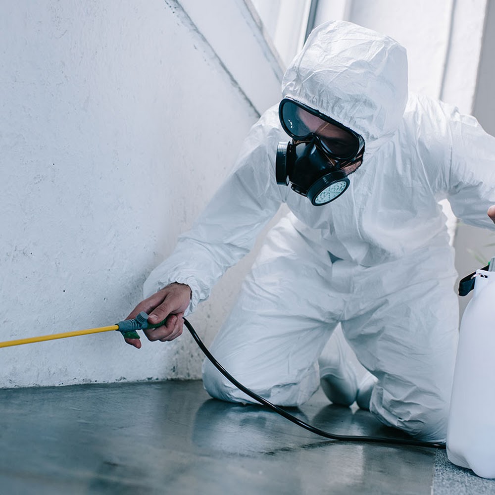 Pest Control Service Group