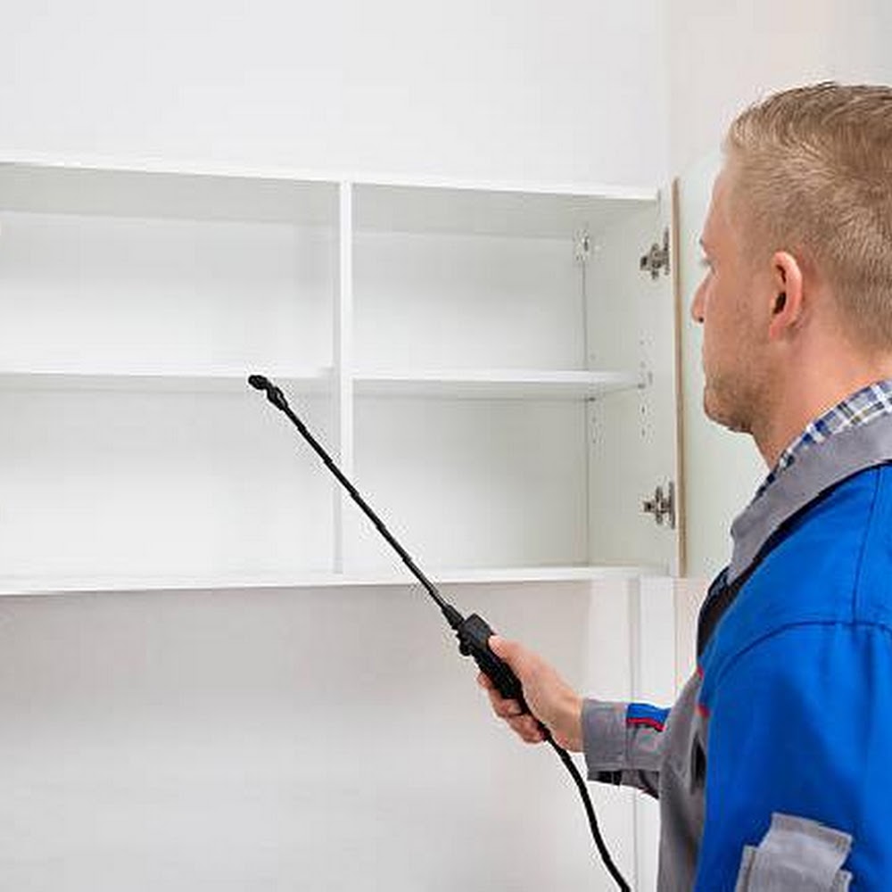 EC1 Pest Solutions