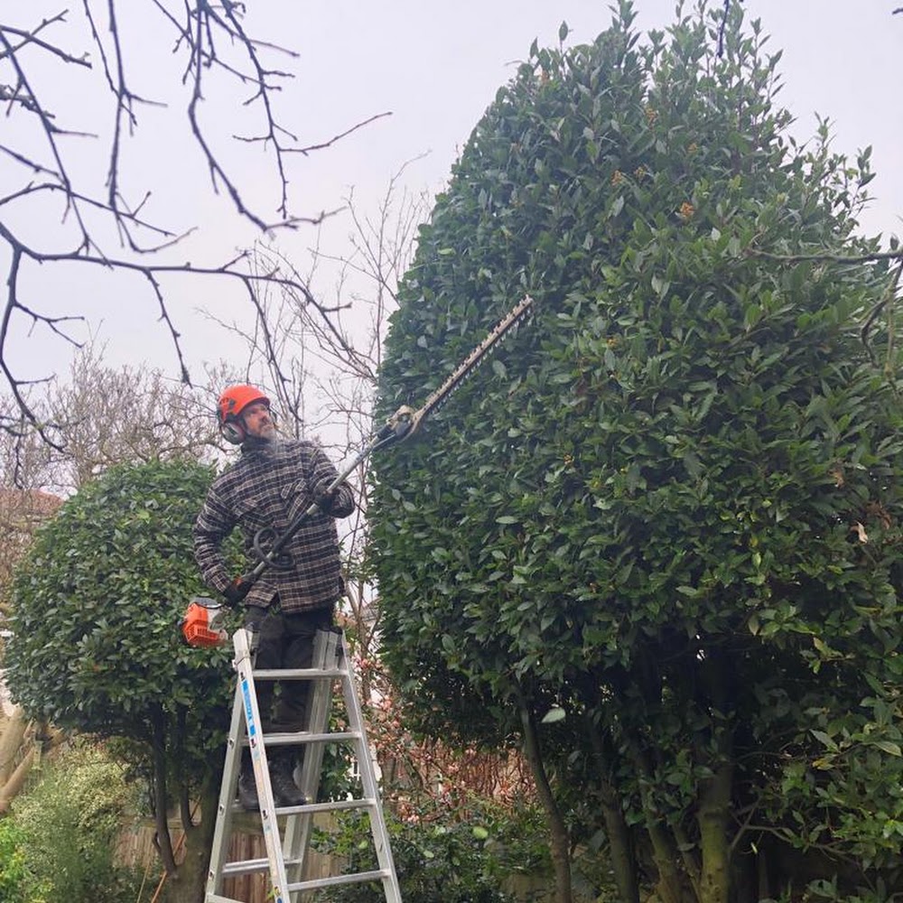 Tree Matters Ltd