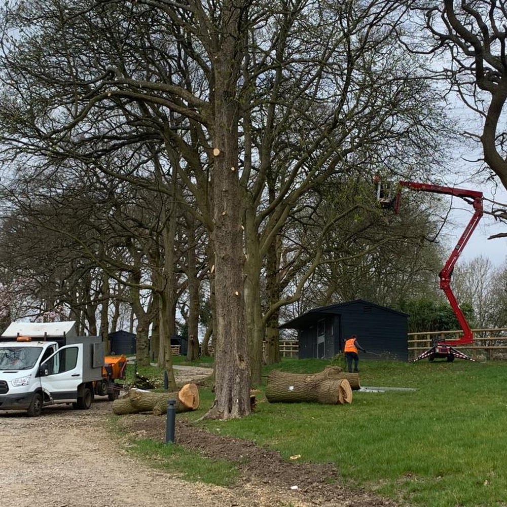 NP Tree Care Ltd