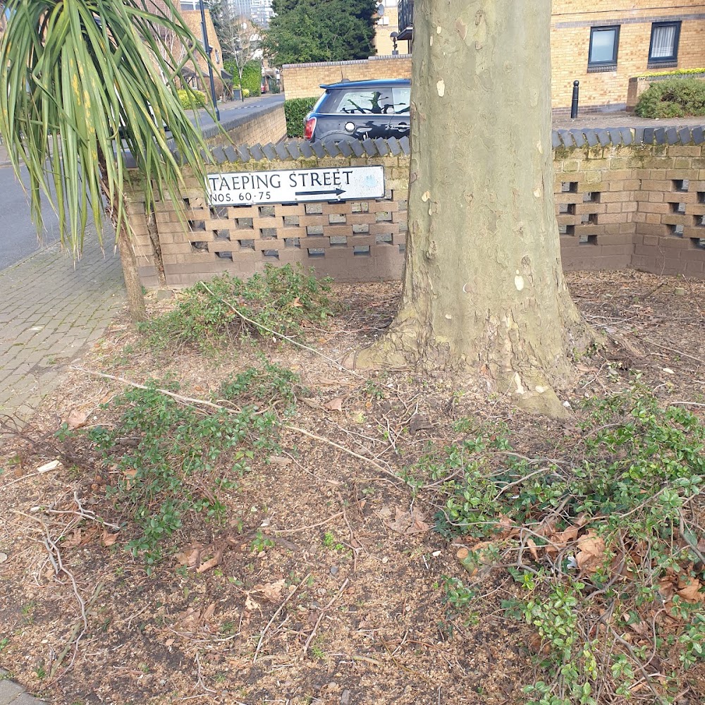 Wassells Arboricultural Services Ltd