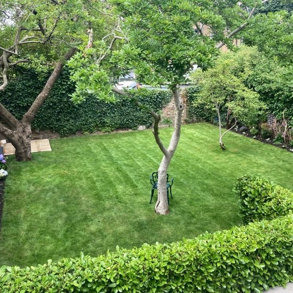 Garden's Friend
