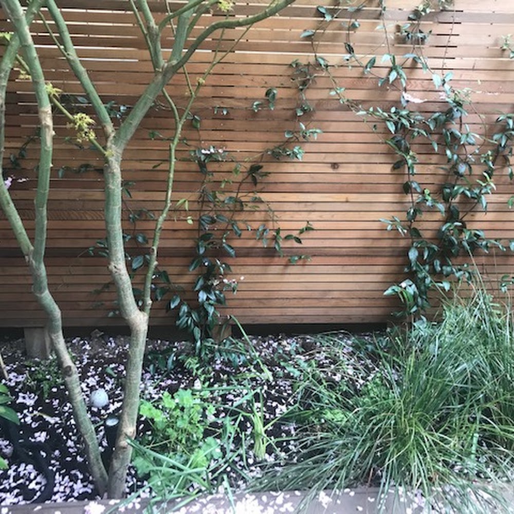 Tamsin Kelly Gardens
