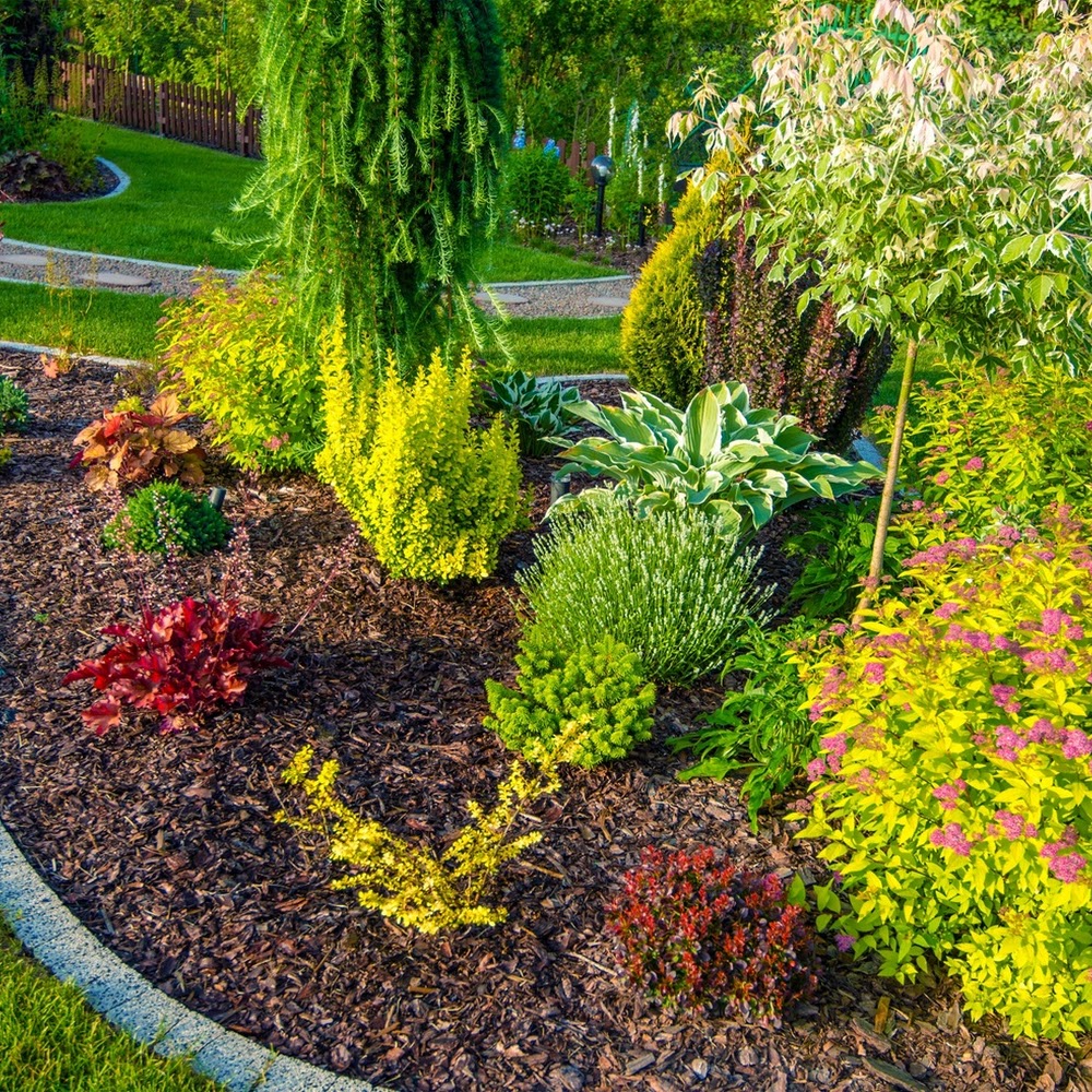 EMEX Garden Maintenance