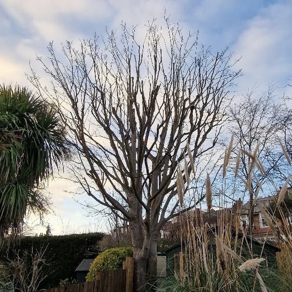 Oakhouse Arboricultural Services Ltd