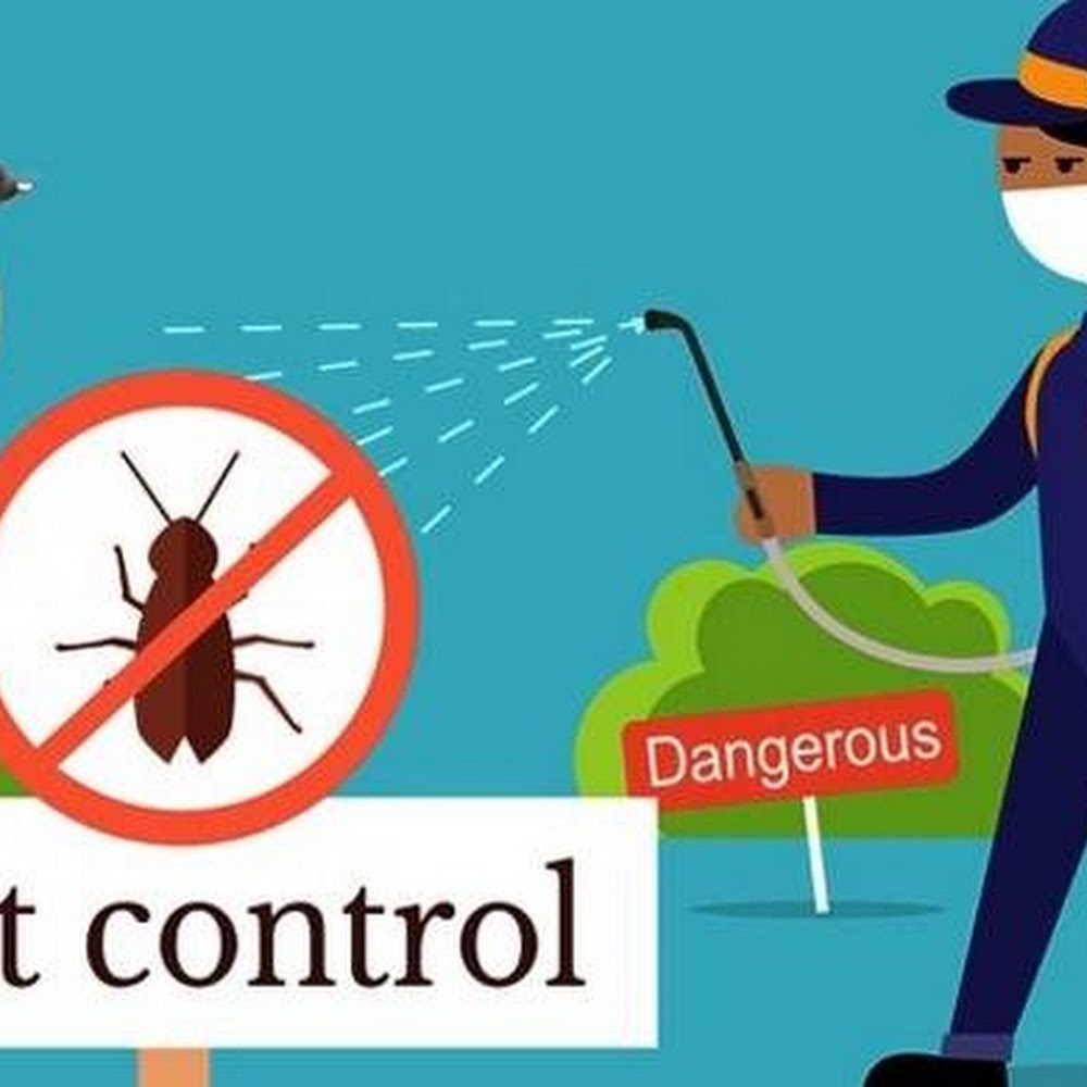 Ozzy Pest Control Services