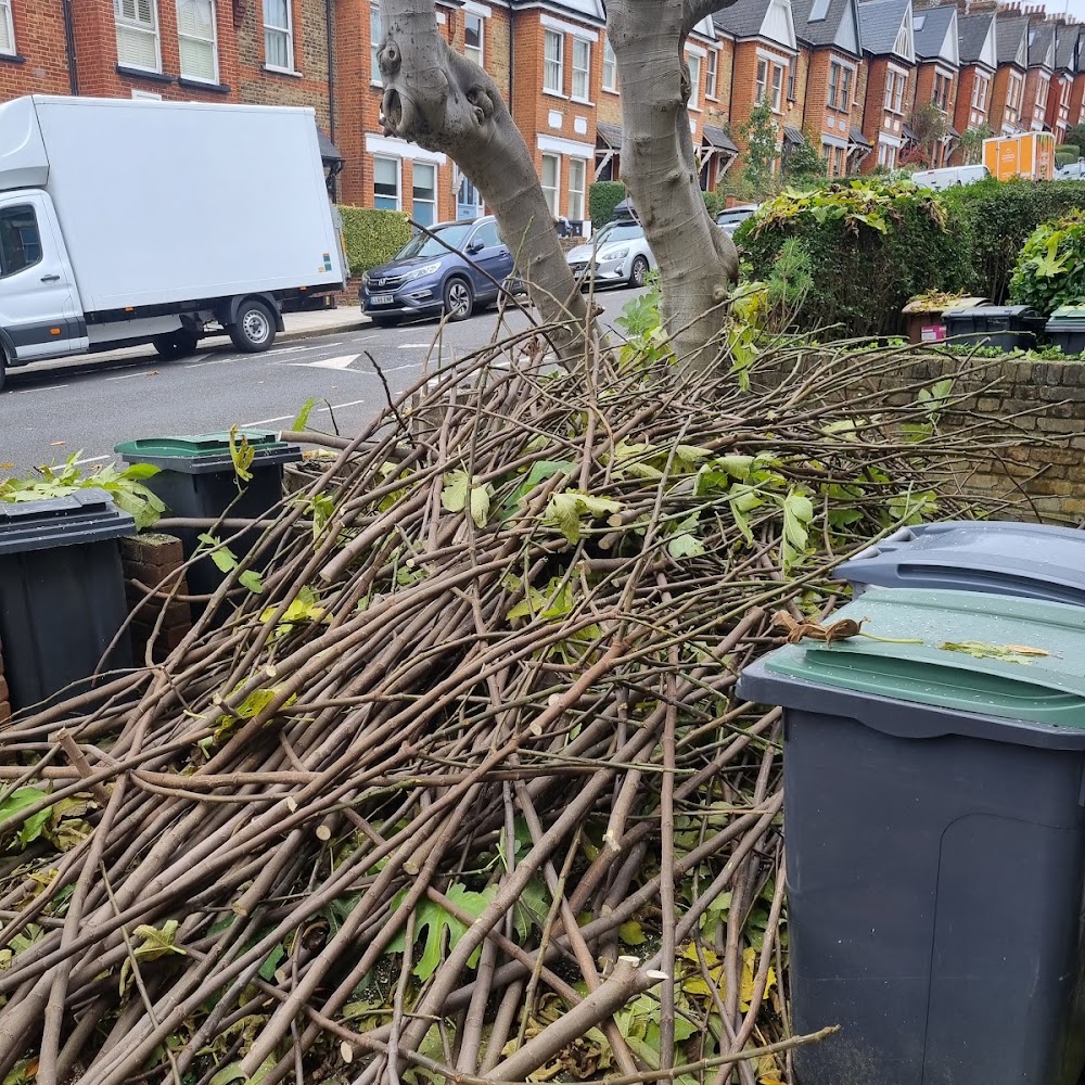 Easy Waste Disposal & Rubbish Removal