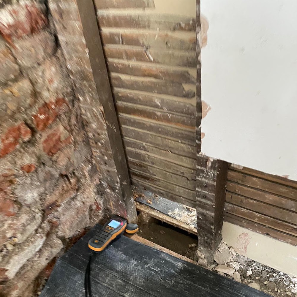 Damp and Mould Solutions