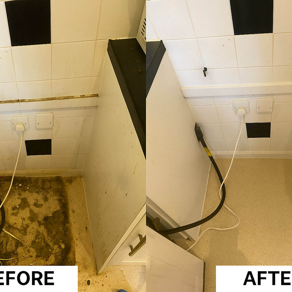 typhcleaning