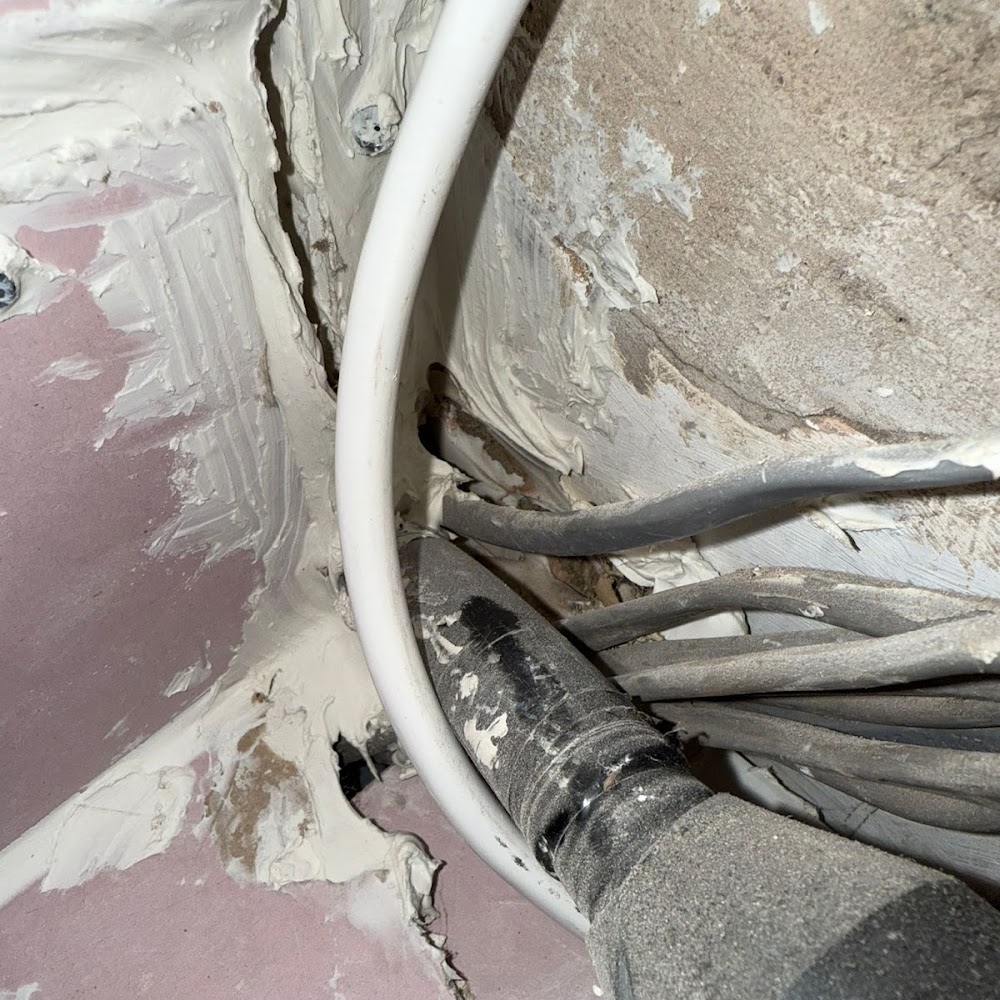 Modern Pest Control London
