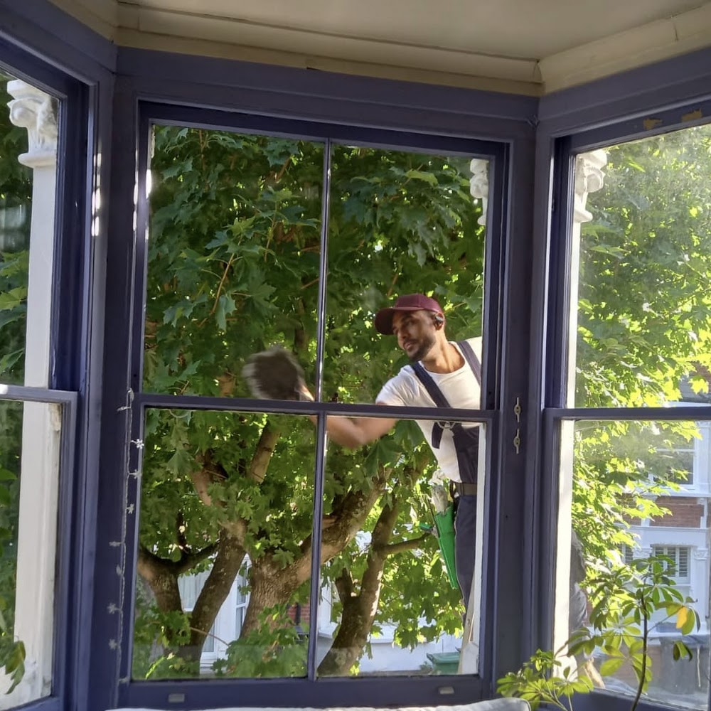 Carlos Window Cleaning