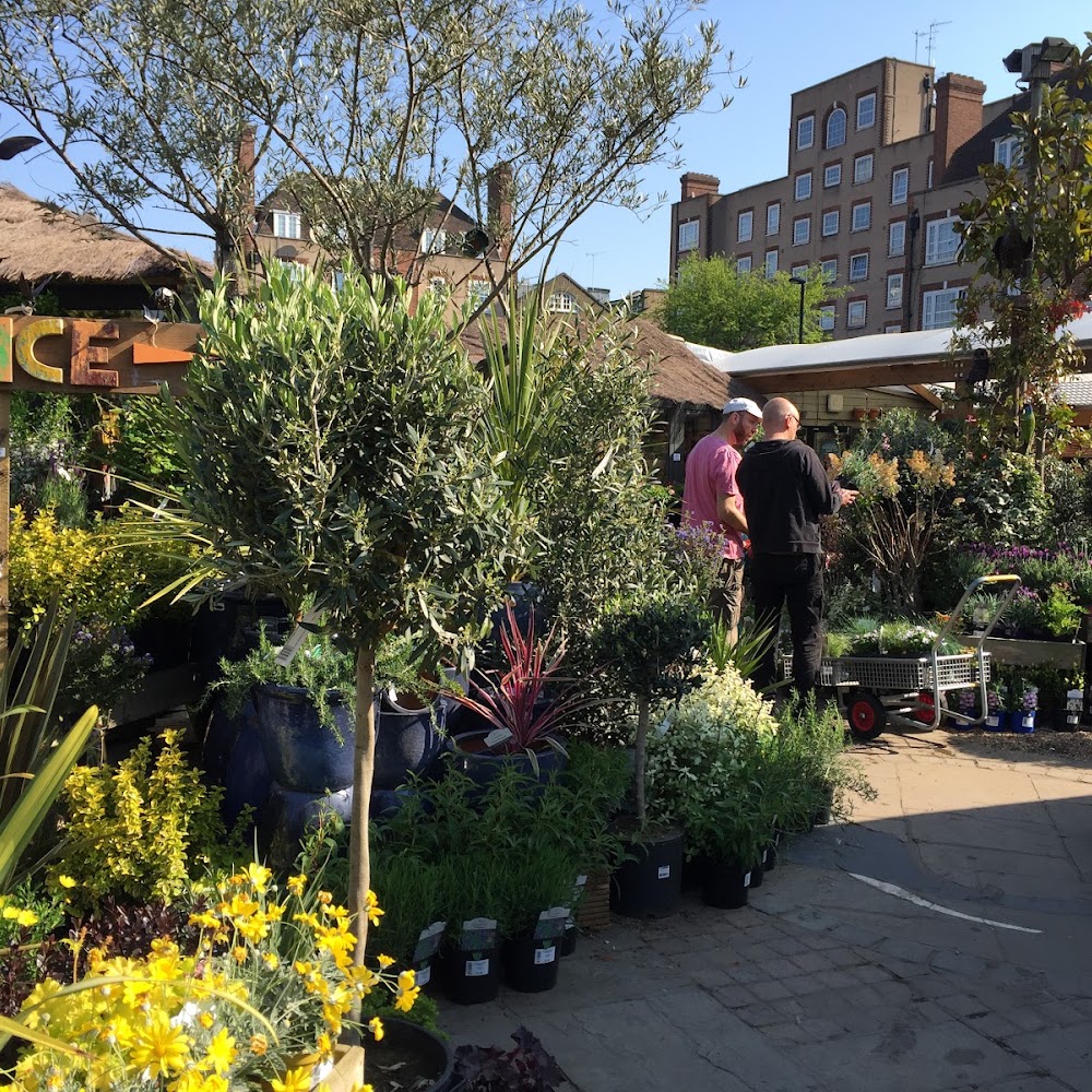The Boma Garden Centre