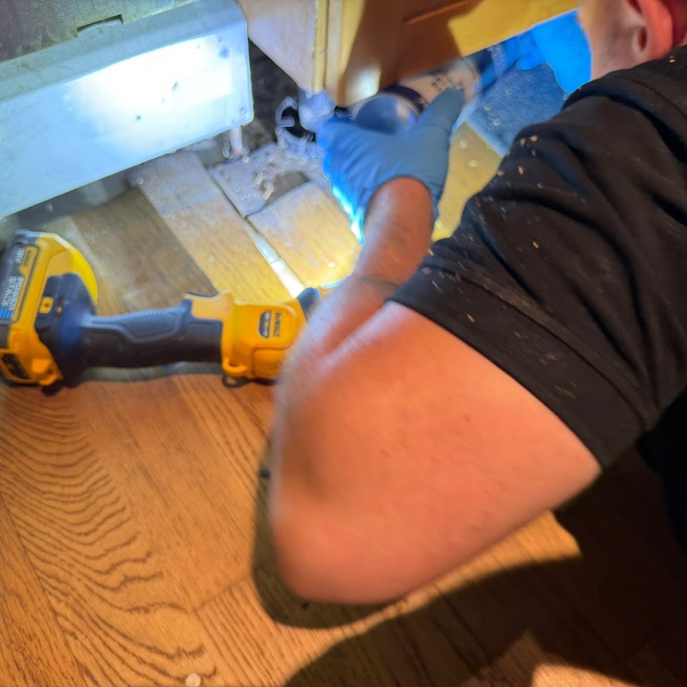CATCH’A RAT Pest Solutions