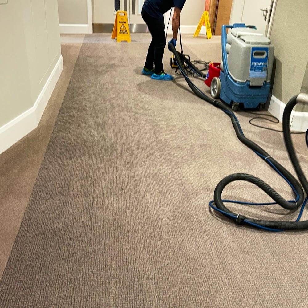 Ben & Dan Cleaning