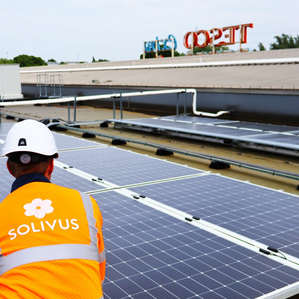 Solivus