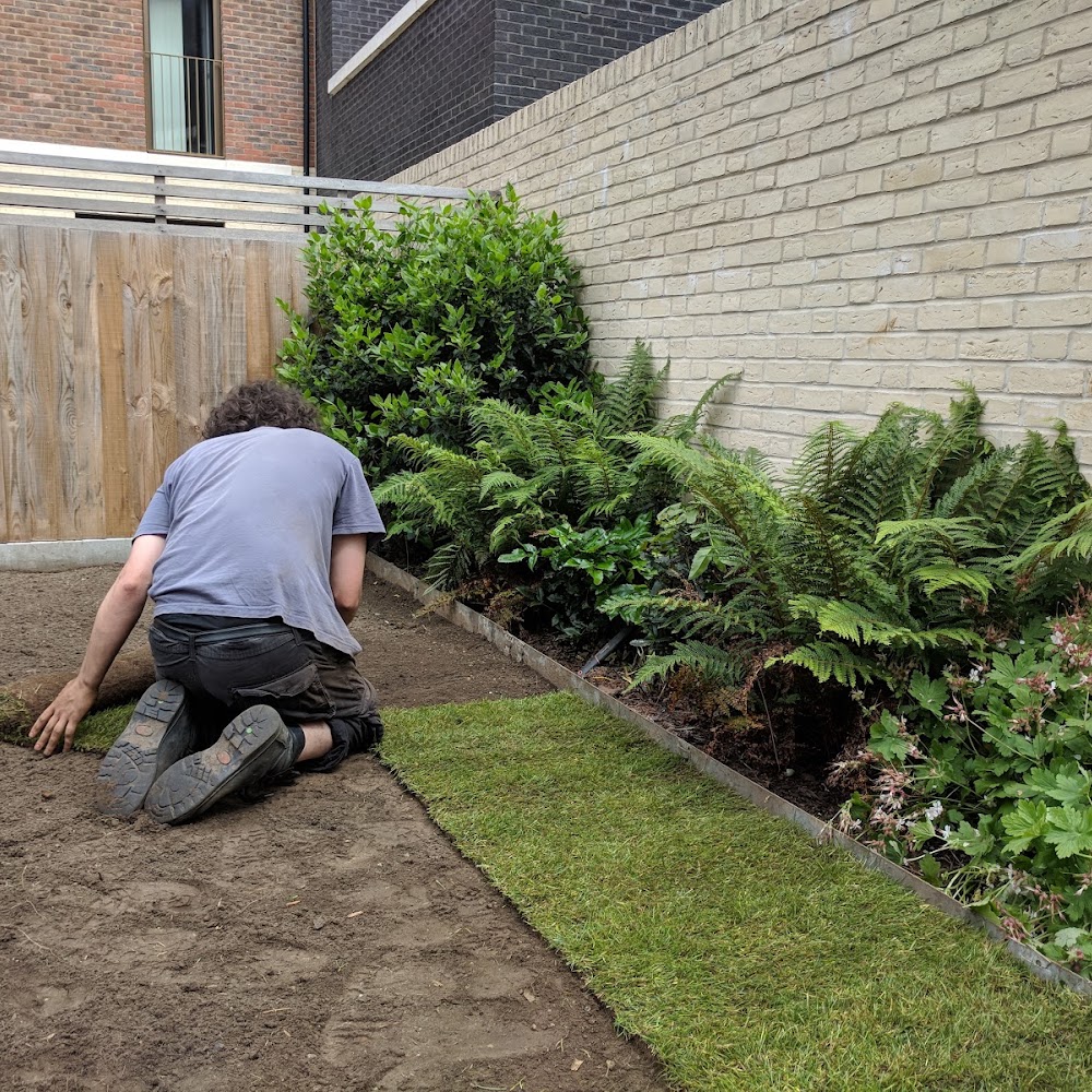 Acorn Tree & Garden Services