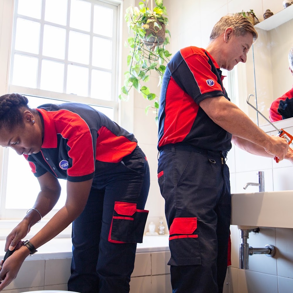 Pimlico Plumbers