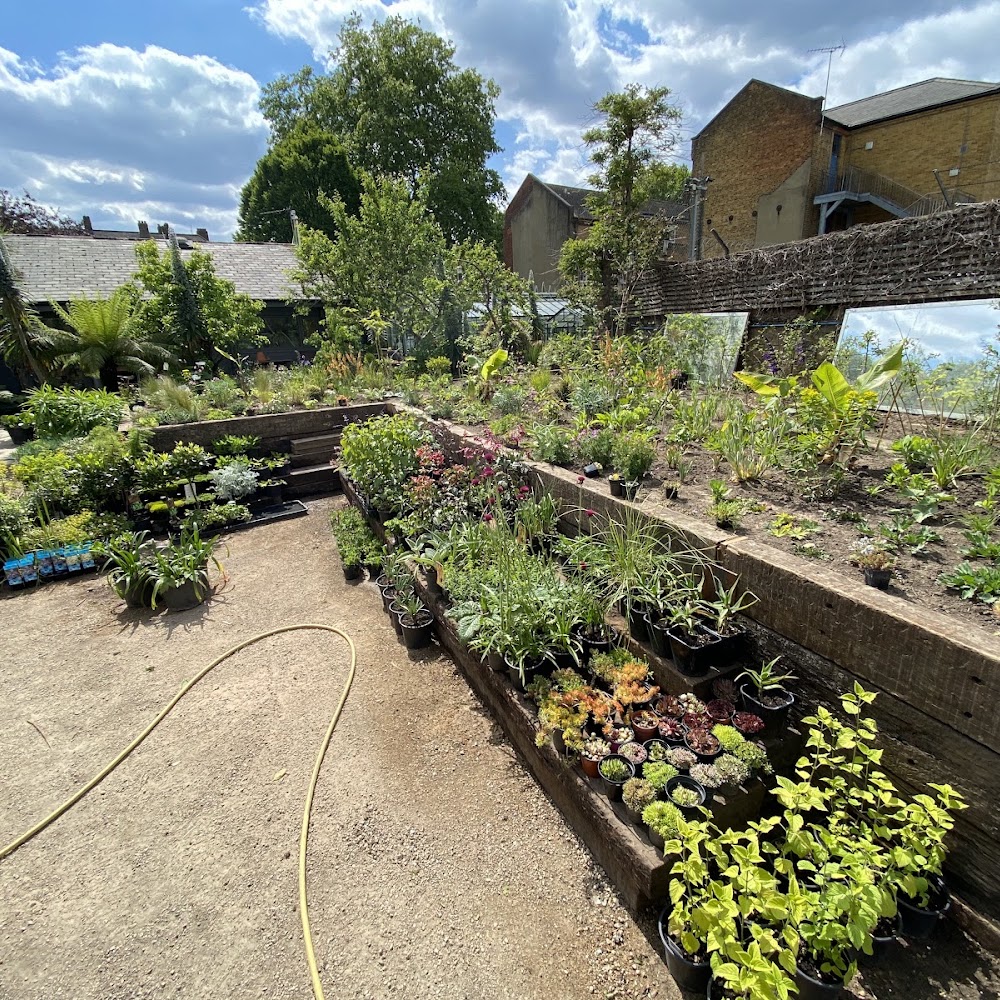 Walworth Garden