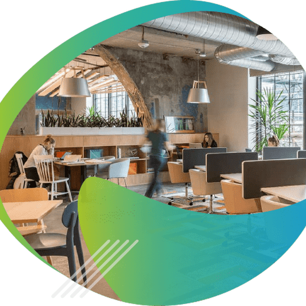 Benchmark Cleaning Services