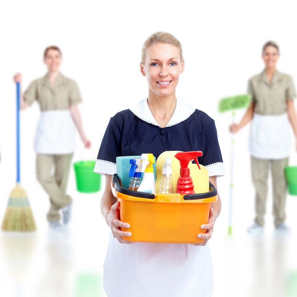 Lilly's Maid Professional Cleaning Services