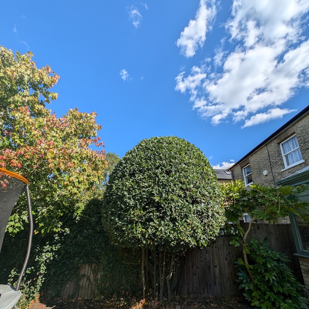 TLG Garden and Landscape Services