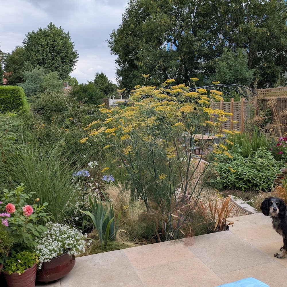 The Lewisham Garden Company Ltd