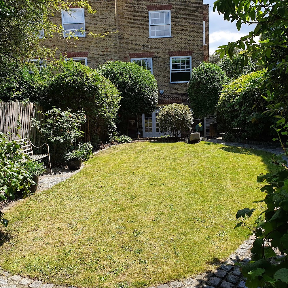 Paradise Tree Surgeons