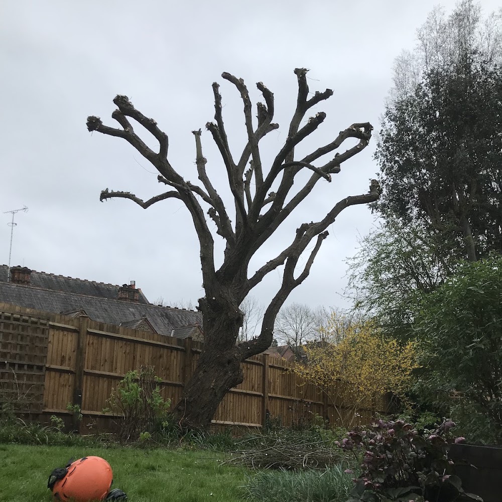 Acorn Garden Services