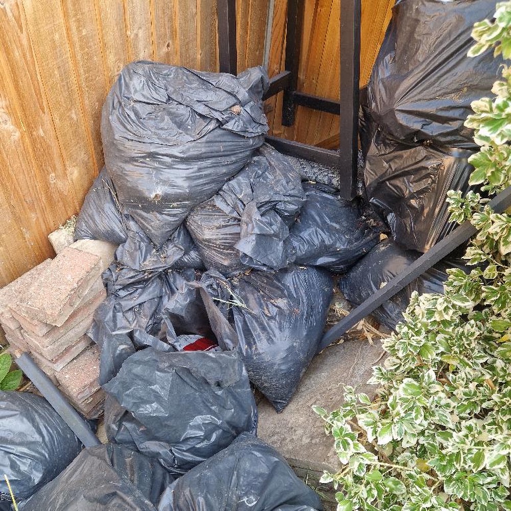 Rubbish Collection Westminster