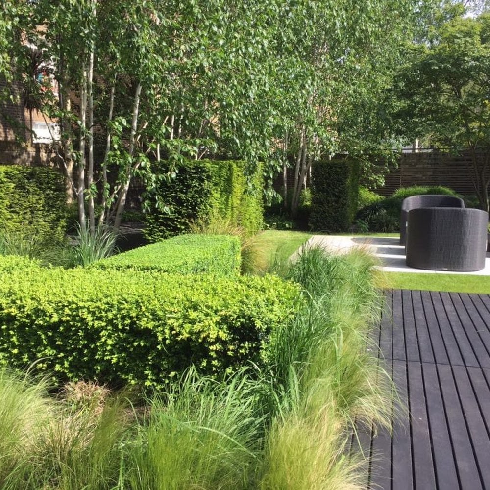 Alaster Anderson - The Planting Experts