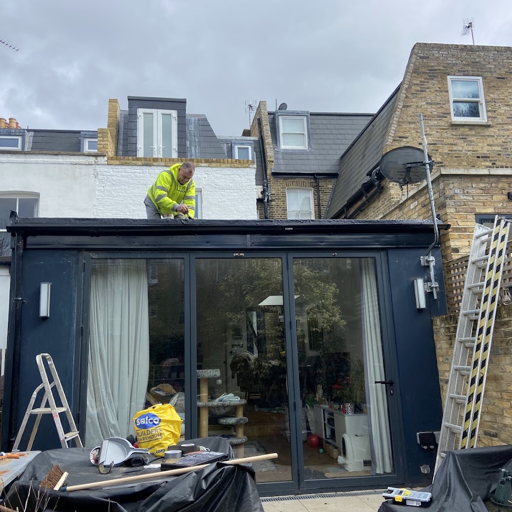 Putney Painters, Putney damp surveyors