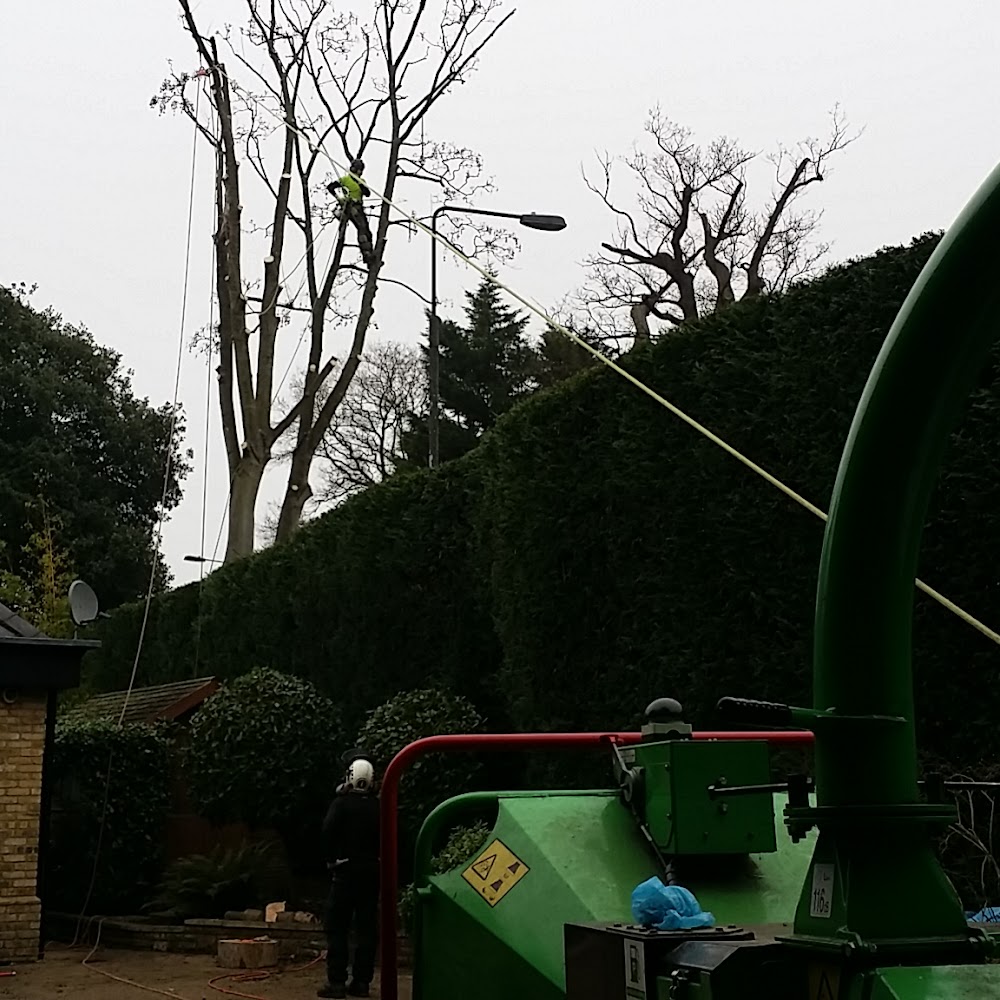 Hardy Tree Surgeons