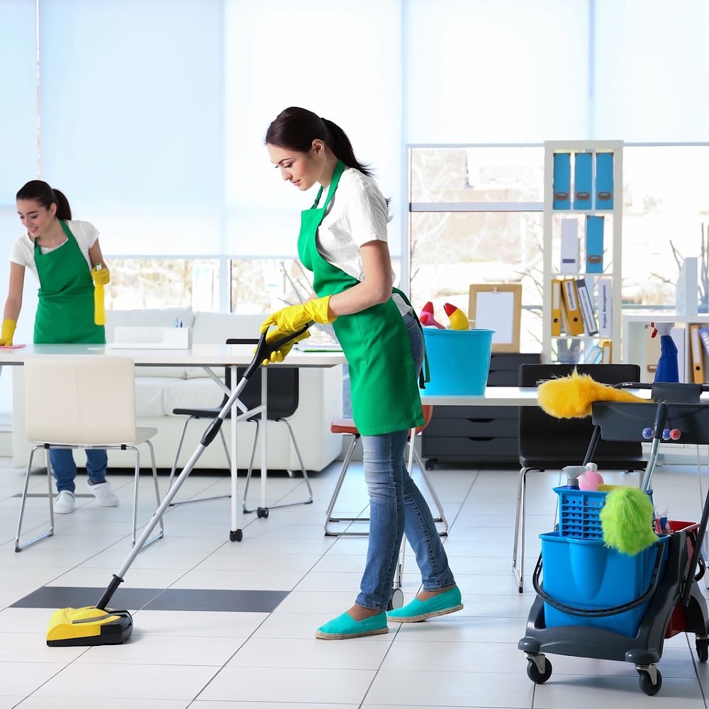 Rossdelim Cleaning Services