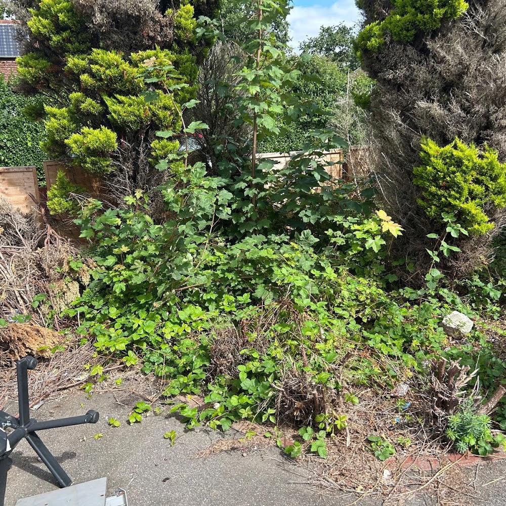LA Gardener | london
