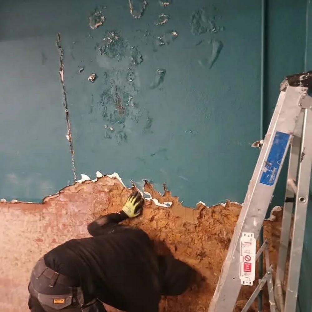 GET Damp proofìng Specialist