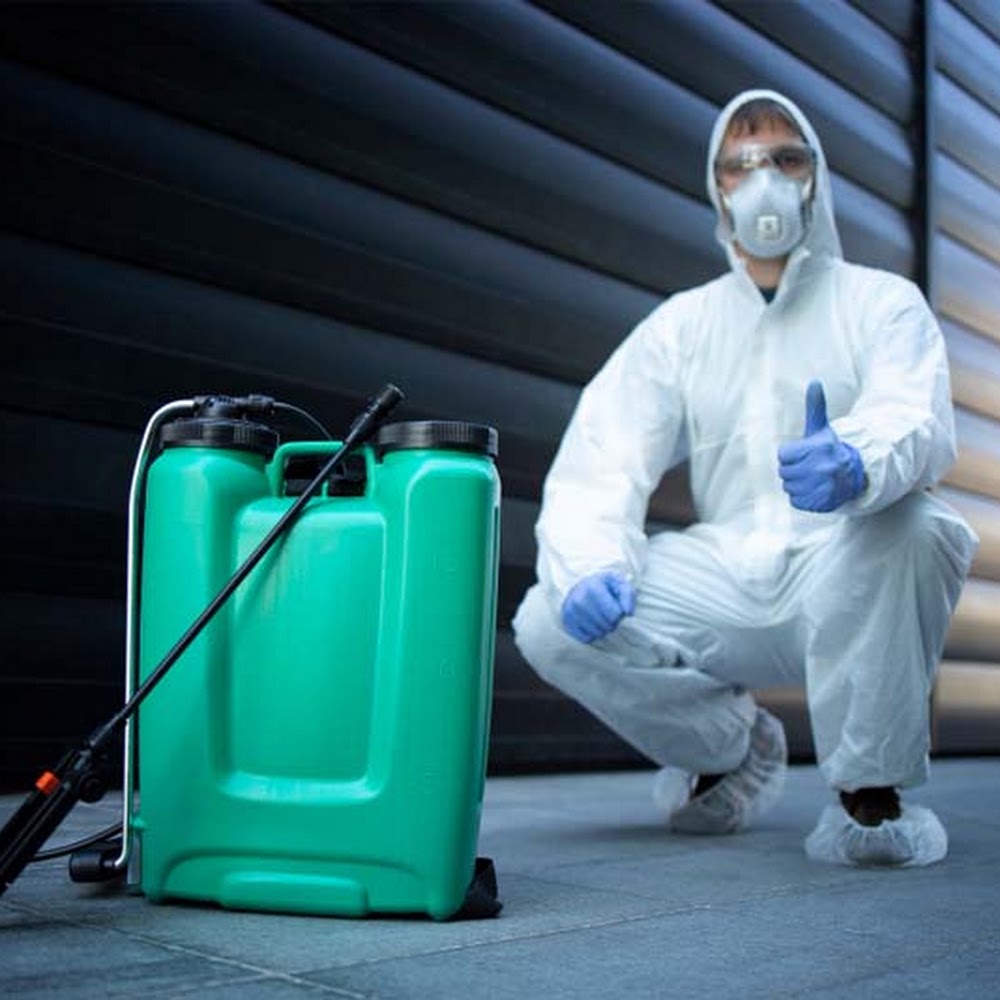 East London Pest Control Services
