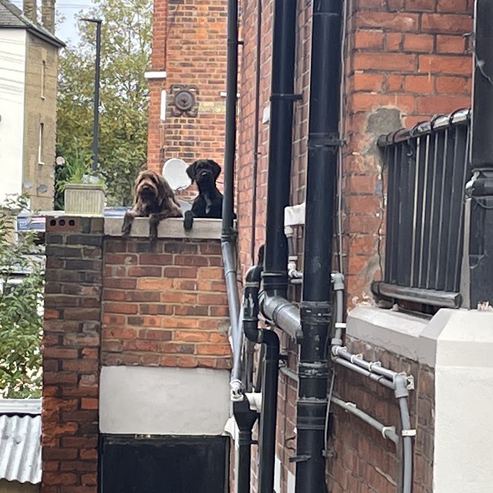 Wimbledon Drainage
