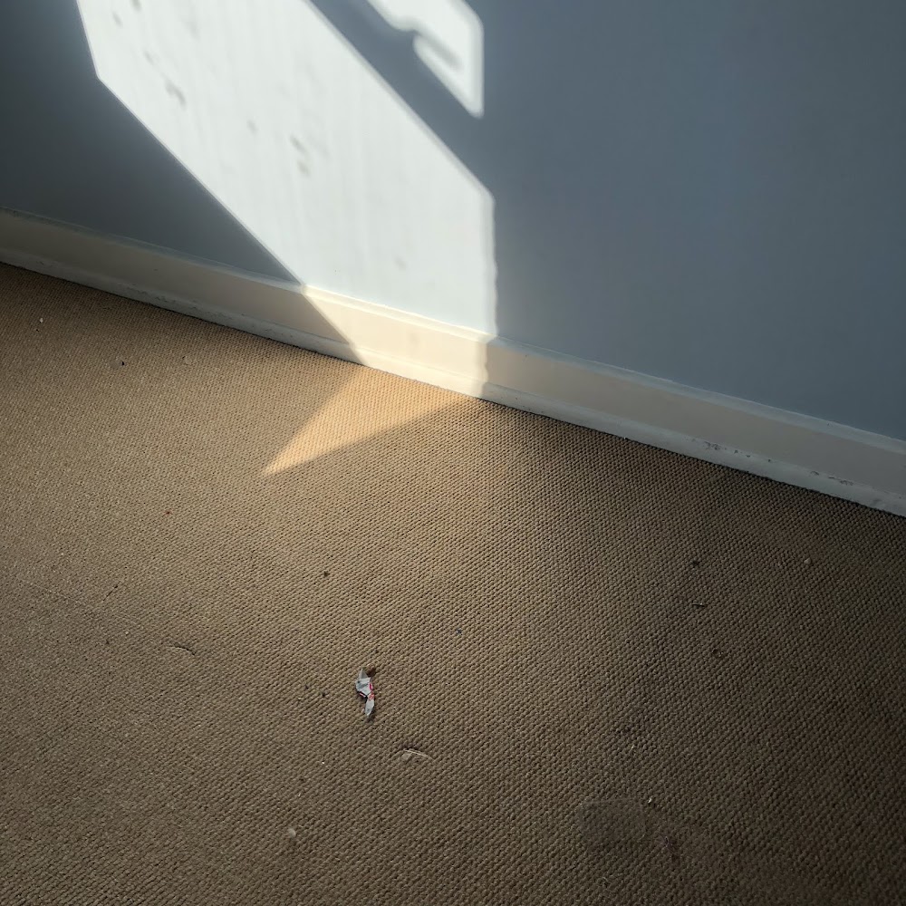 Wimbledon Cleaning Services