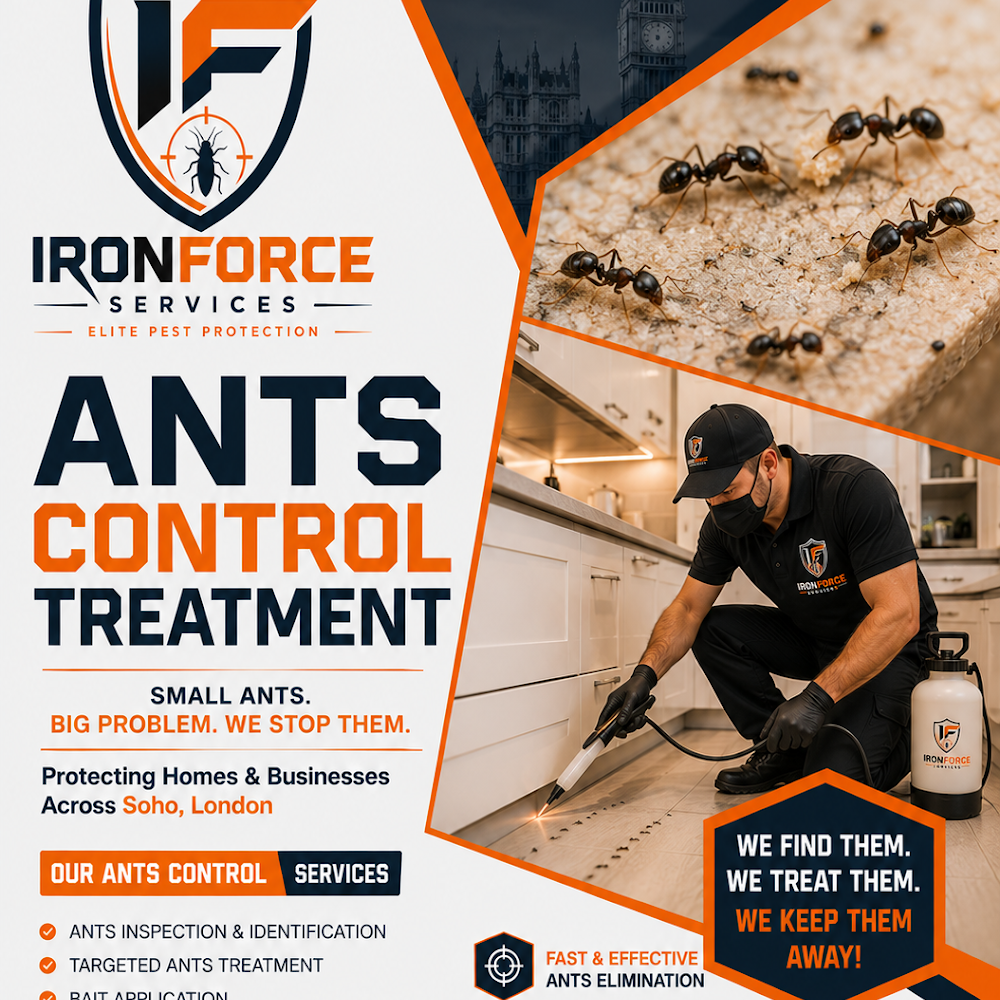 IronForce Services