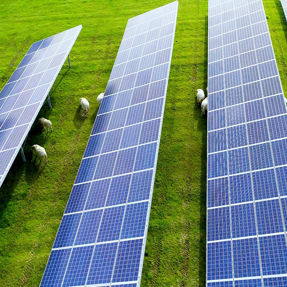 JBM Solar