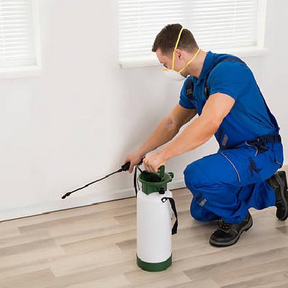 Stein Pest Control Paddington