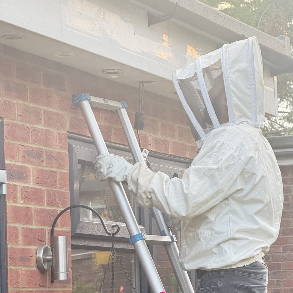 Rapid Pest Control London