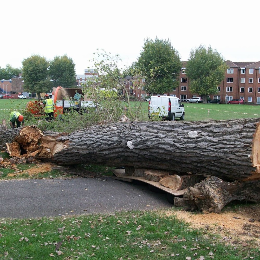 Allison Tree Services