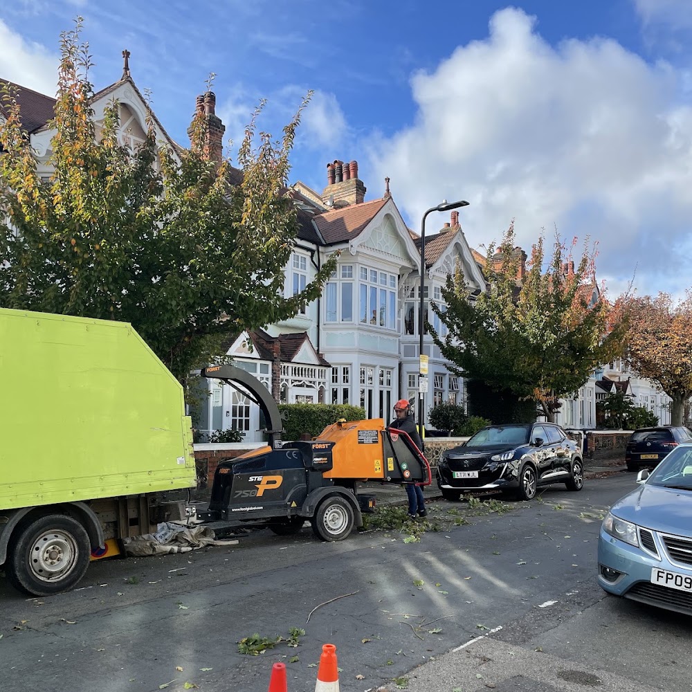 Arborista Tree Services