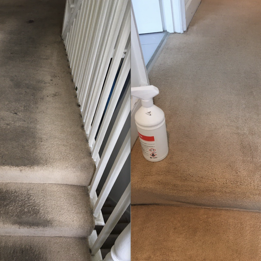 Deep Clean Carpet & Rug Cleaning Services